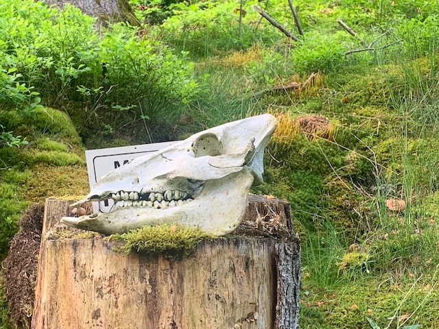 Kohlenmeiler - Köhlerei im Thiemitztal